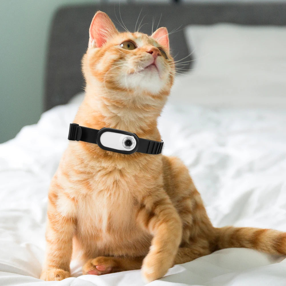Collars