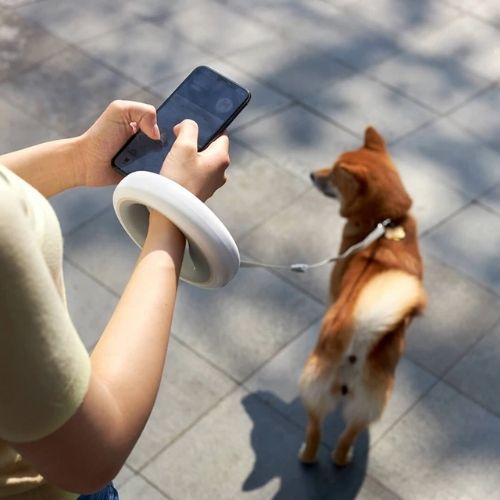 Walking