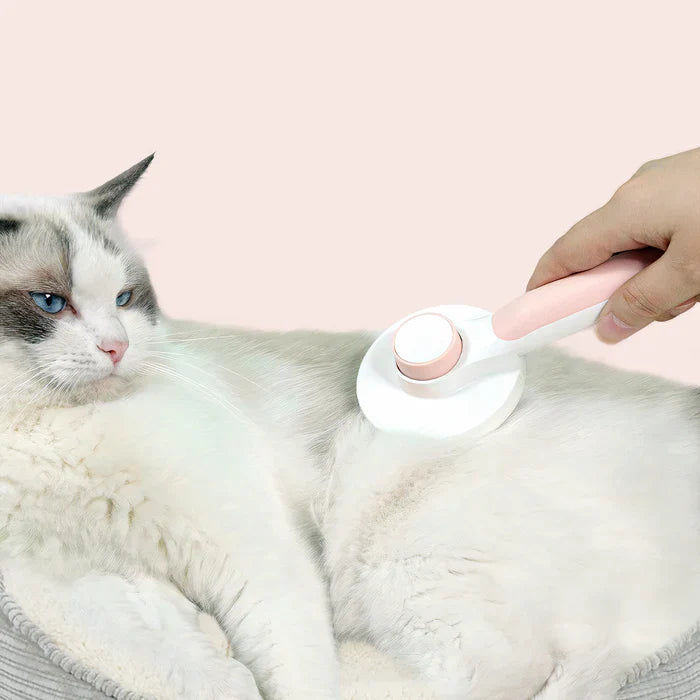 Grooming